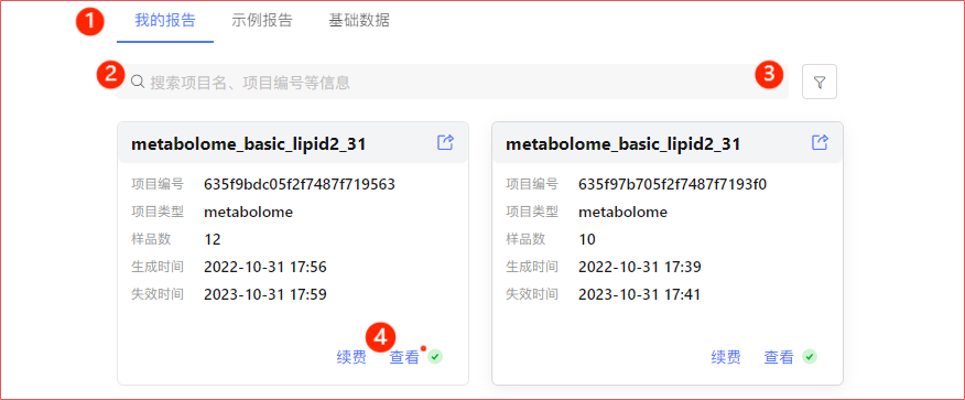 我的报告